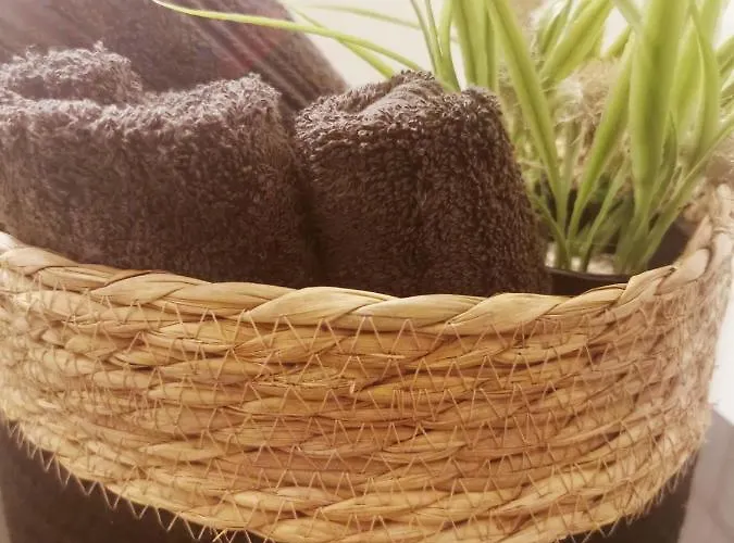 فندق مبيت وإفطار Stadthotel 3*