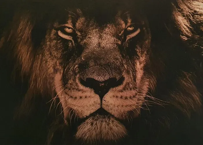 Stadthotel 3* Rochlitz